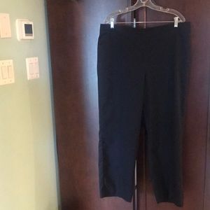 Alfred Dunner pants